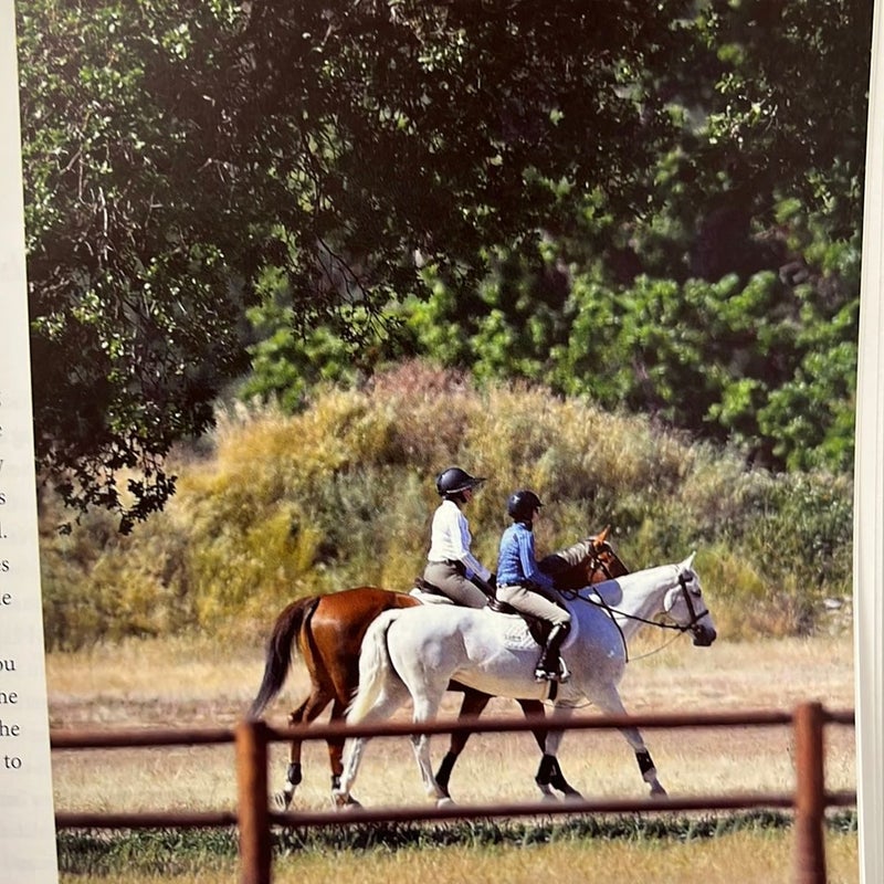Judging Hunters and Equitation