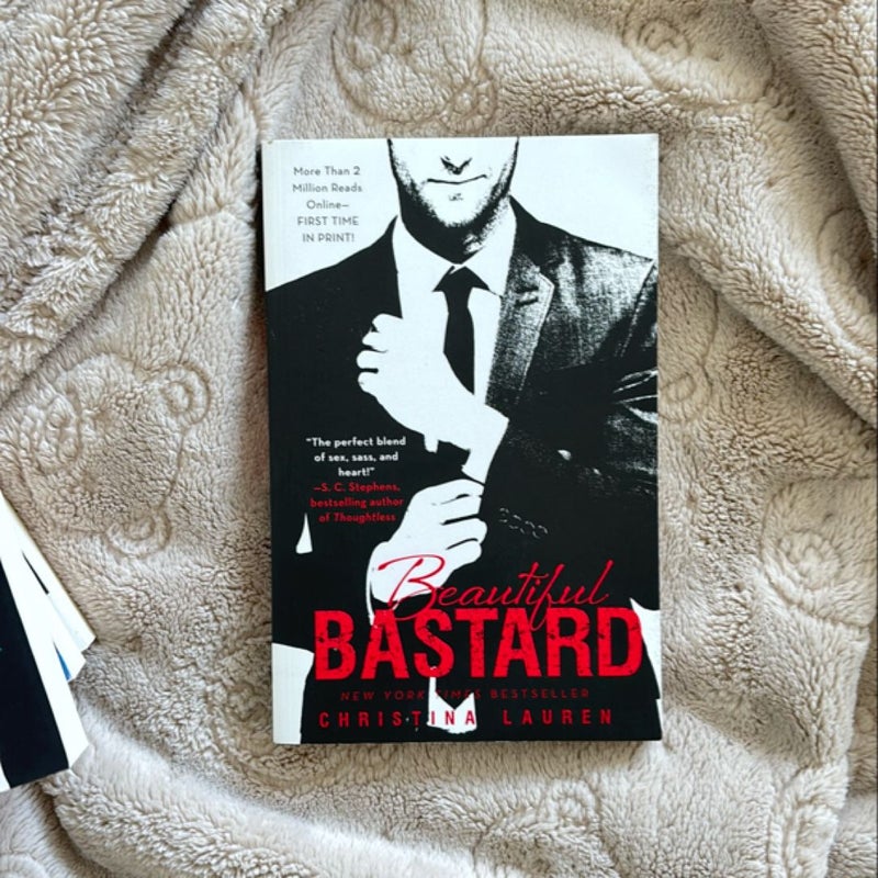 Beautiful Bastard Series 