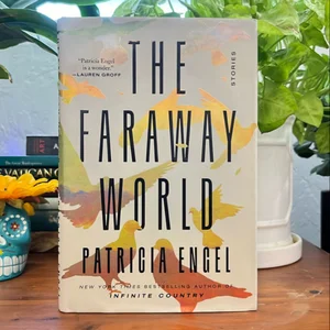 The Faraway World