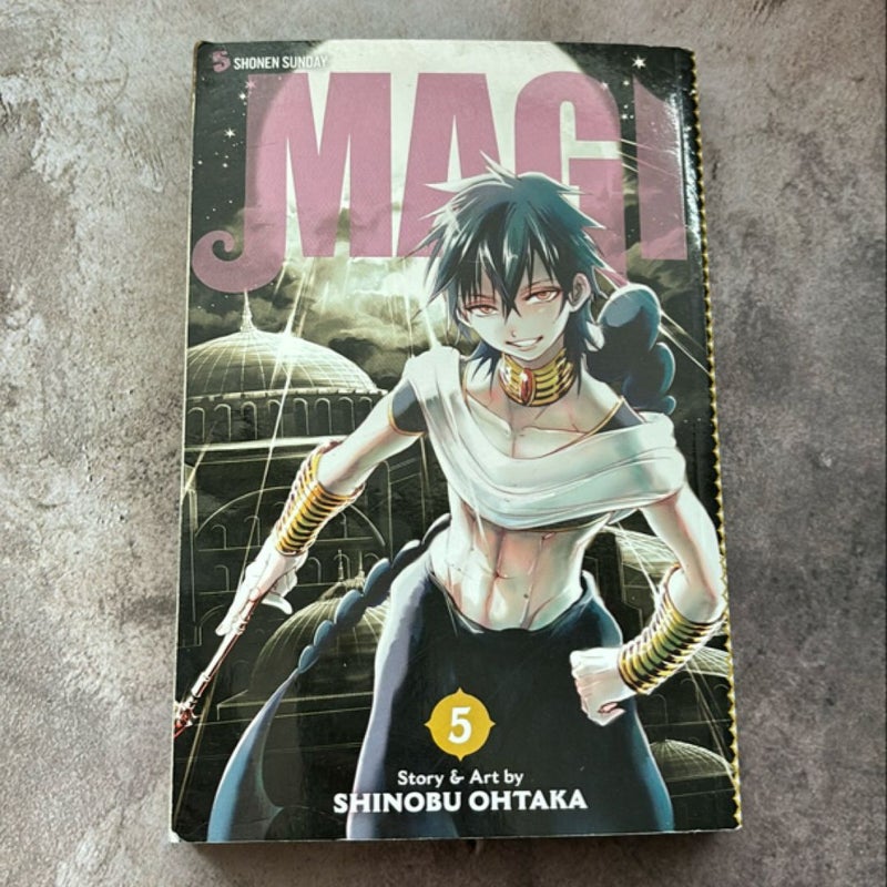 Magi: the Labyrinth of Magic, Vol. 5