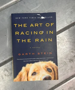 The Art of Racing in the Rain