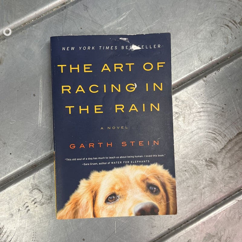 The Art of Racing in the Rain