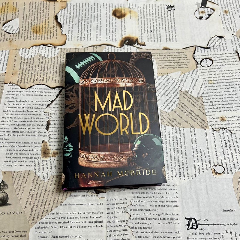 Mad World Hannah Mcbride  Baddies Book Box special edition