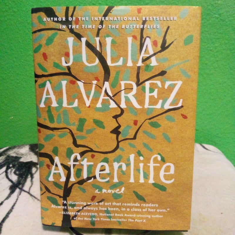 Afterlife - First Edition 