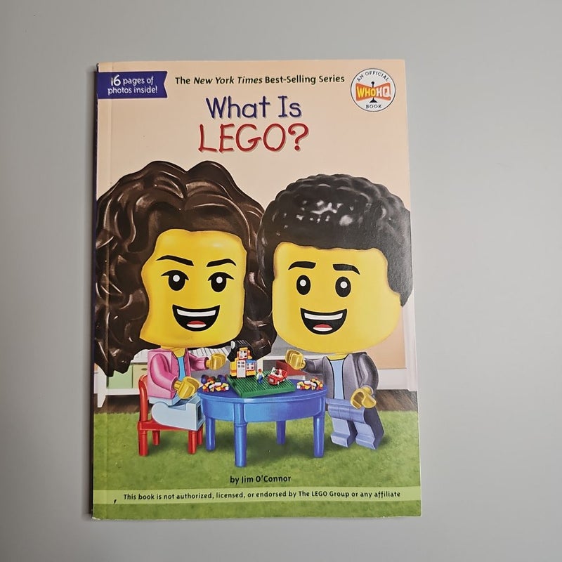 What Is LEGO?