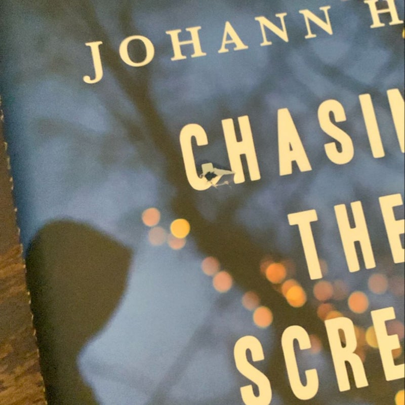 Chasing the Scream