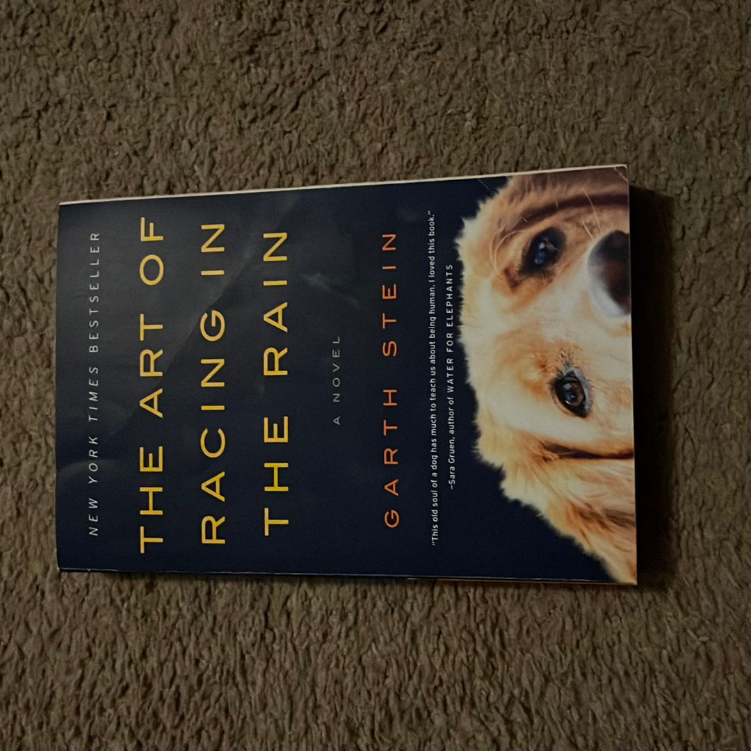 The Art of Racing in the Rain