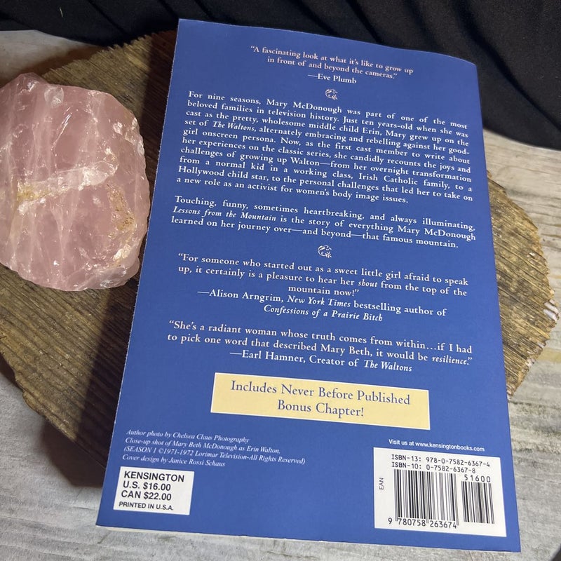 Lessons from the Mountain