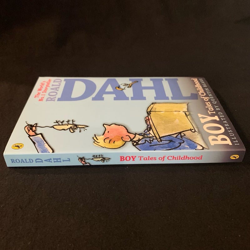 Boy: Tales of Childhood