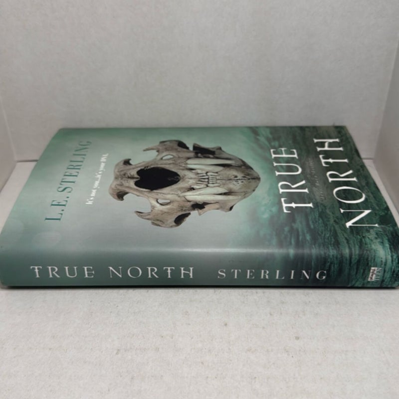 True North