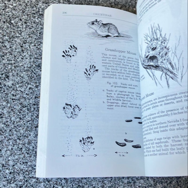 A Field Guide to Animal Tracks *