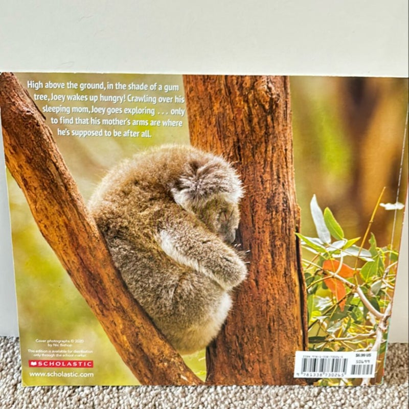 Joey: A Baby Koala and His Mother