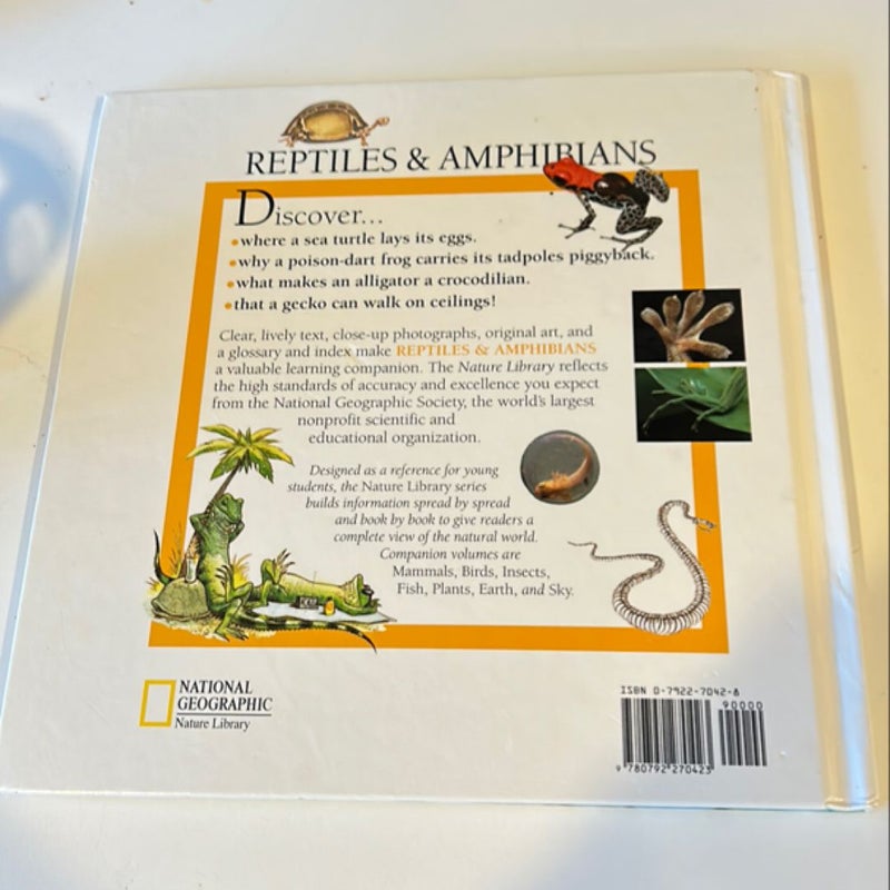 Reptiles and Amphibians