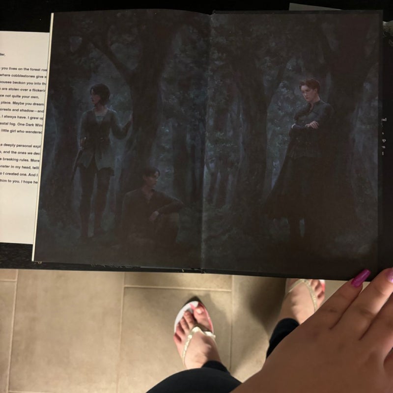 Fairyloot special edition of the The Shepherd King duology.