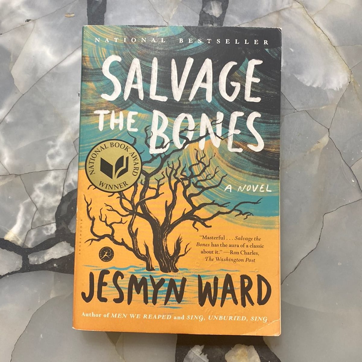 Salvage the Bones by Jesmyn Ward