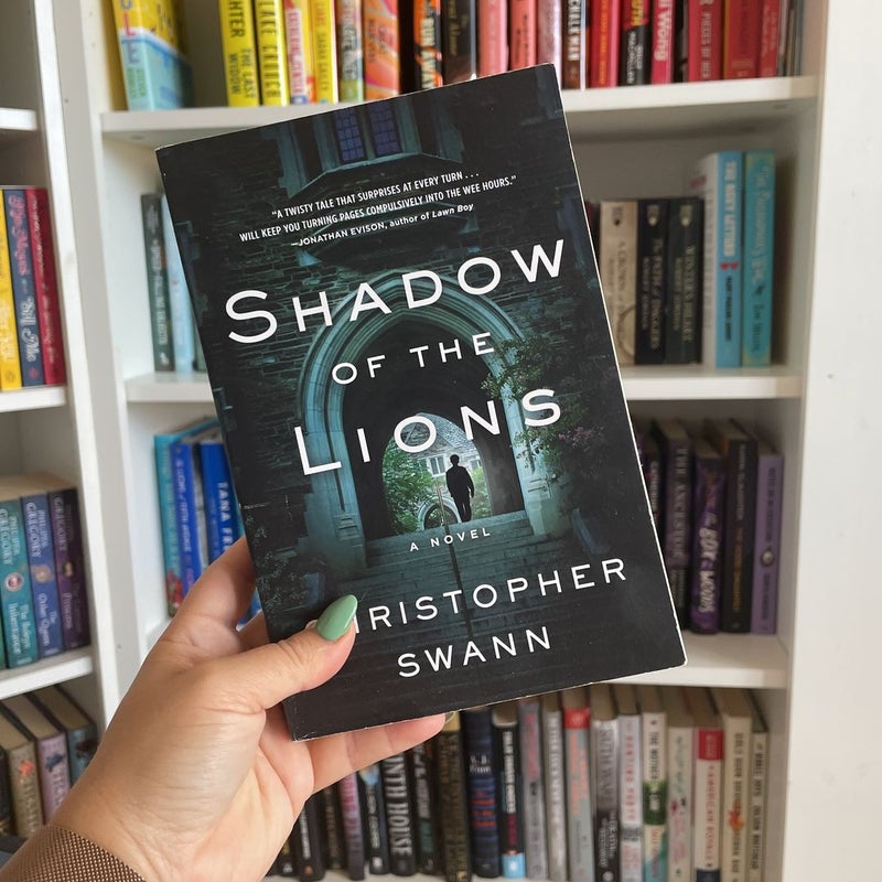 Shadow of the Lions
