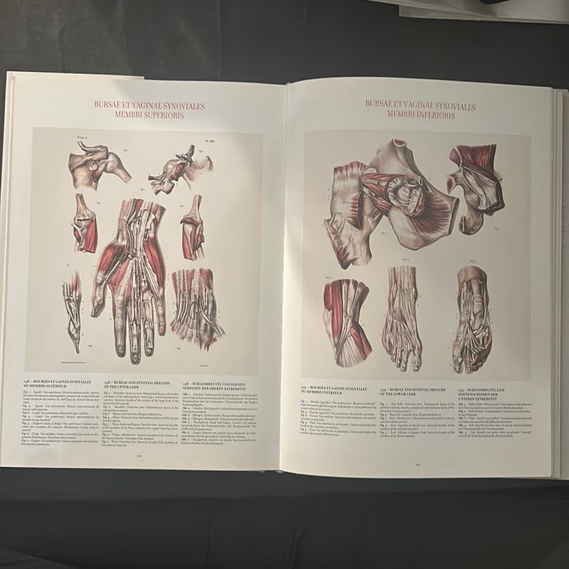 Atlas of Human Anatomy and Surgery Volume 1