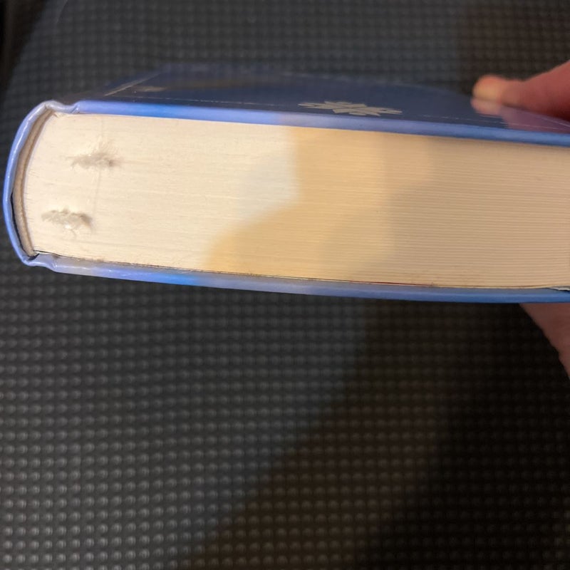 French Bible
