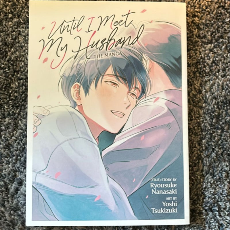 Until I Meet My Husband (Manga)