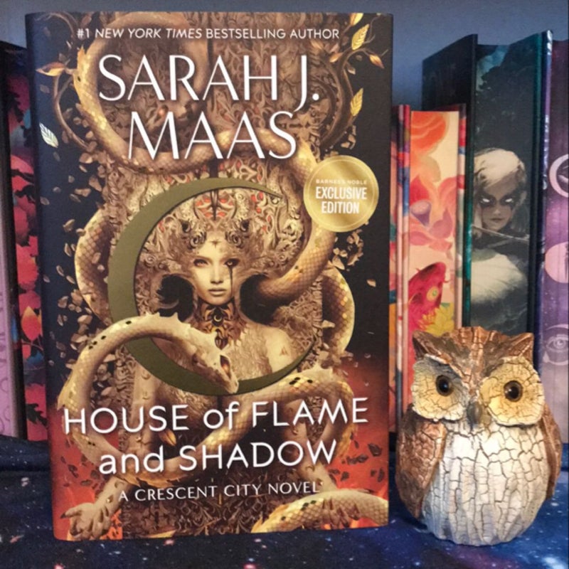 House of Flame and Shadow *Barnes & Noble* exclusive 