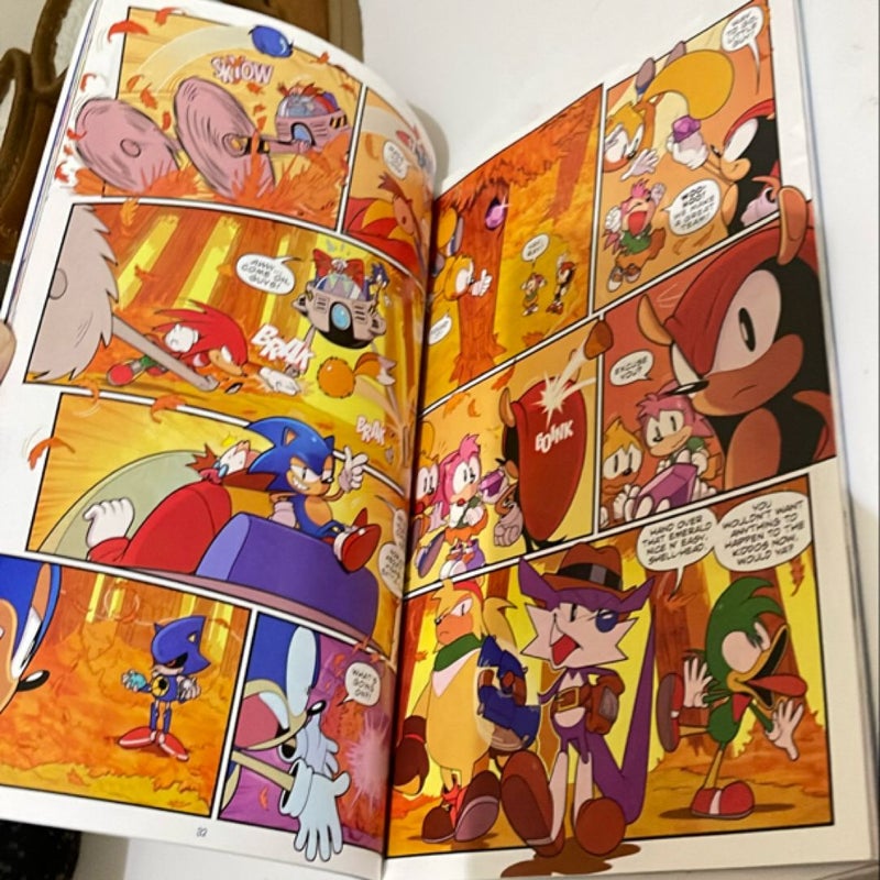 Sonic the Hedgehog 30th Anniversary Celebration