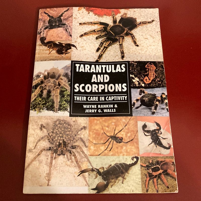 Tarantulas and Scorpions