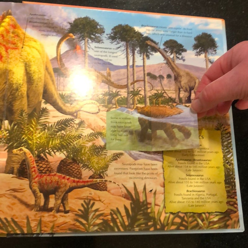 Dinosaurs [with Magnifyng Glass]