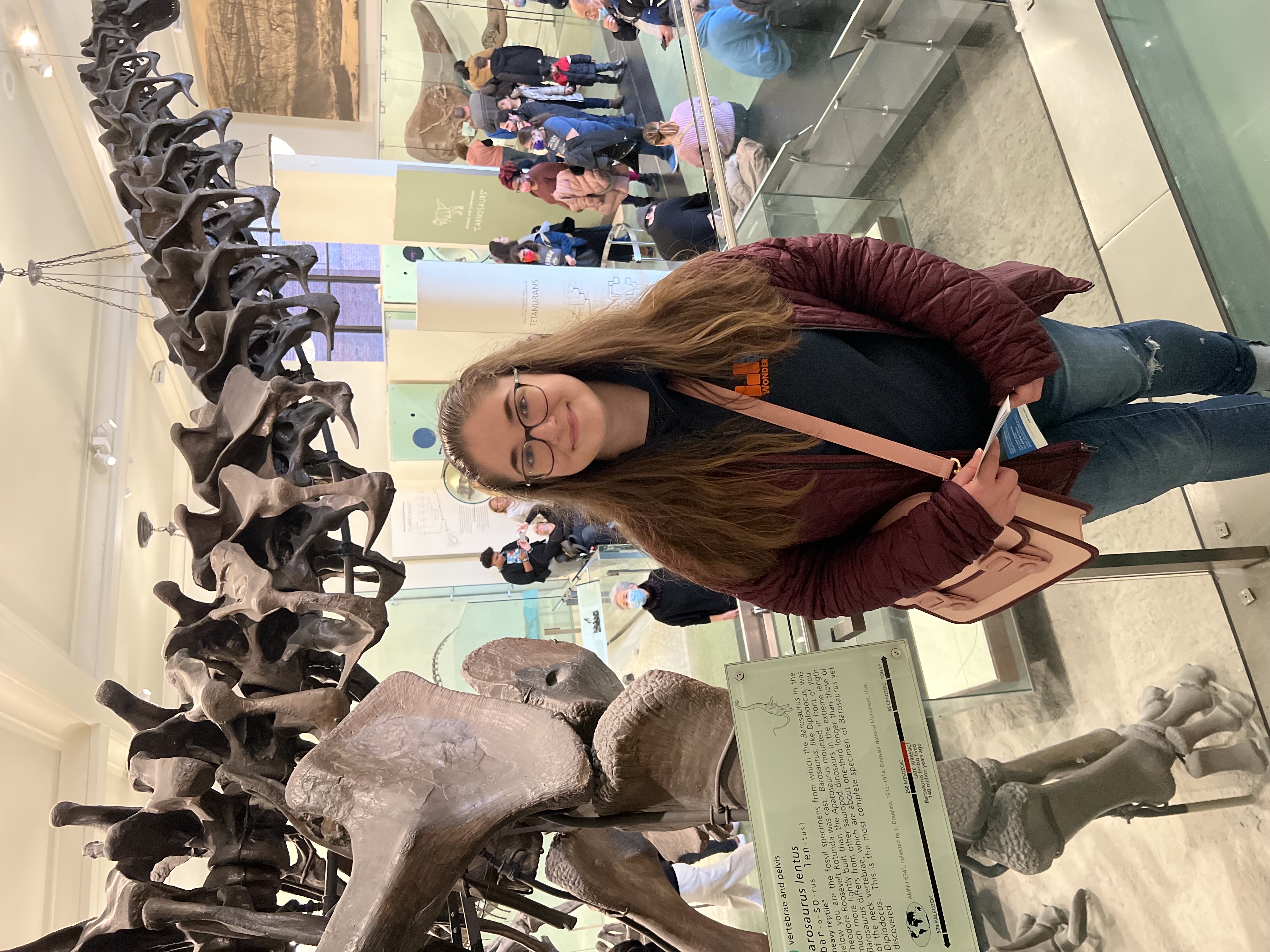 Brianna’s Bookshelves