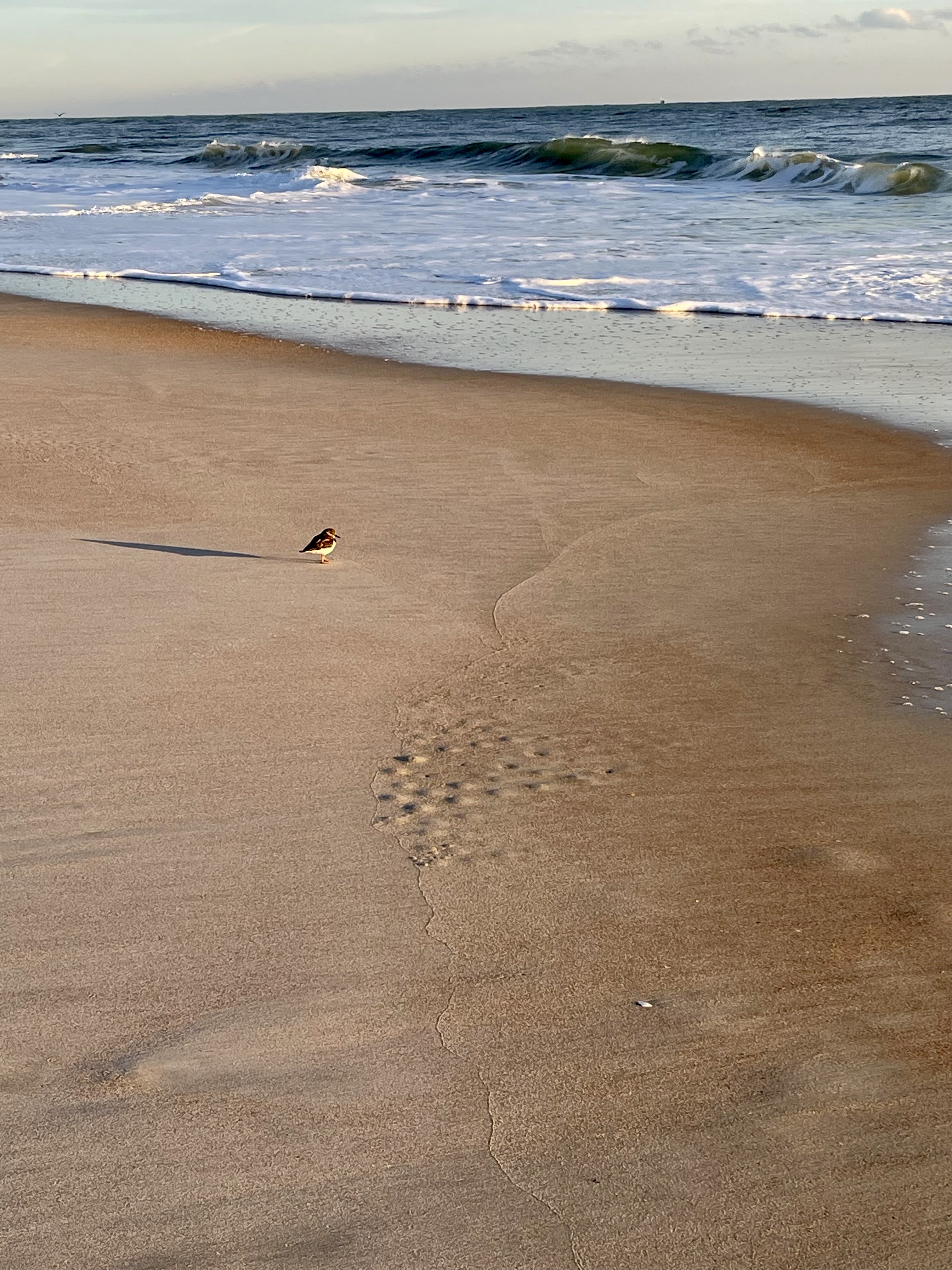 Stacey’s Beach Reads