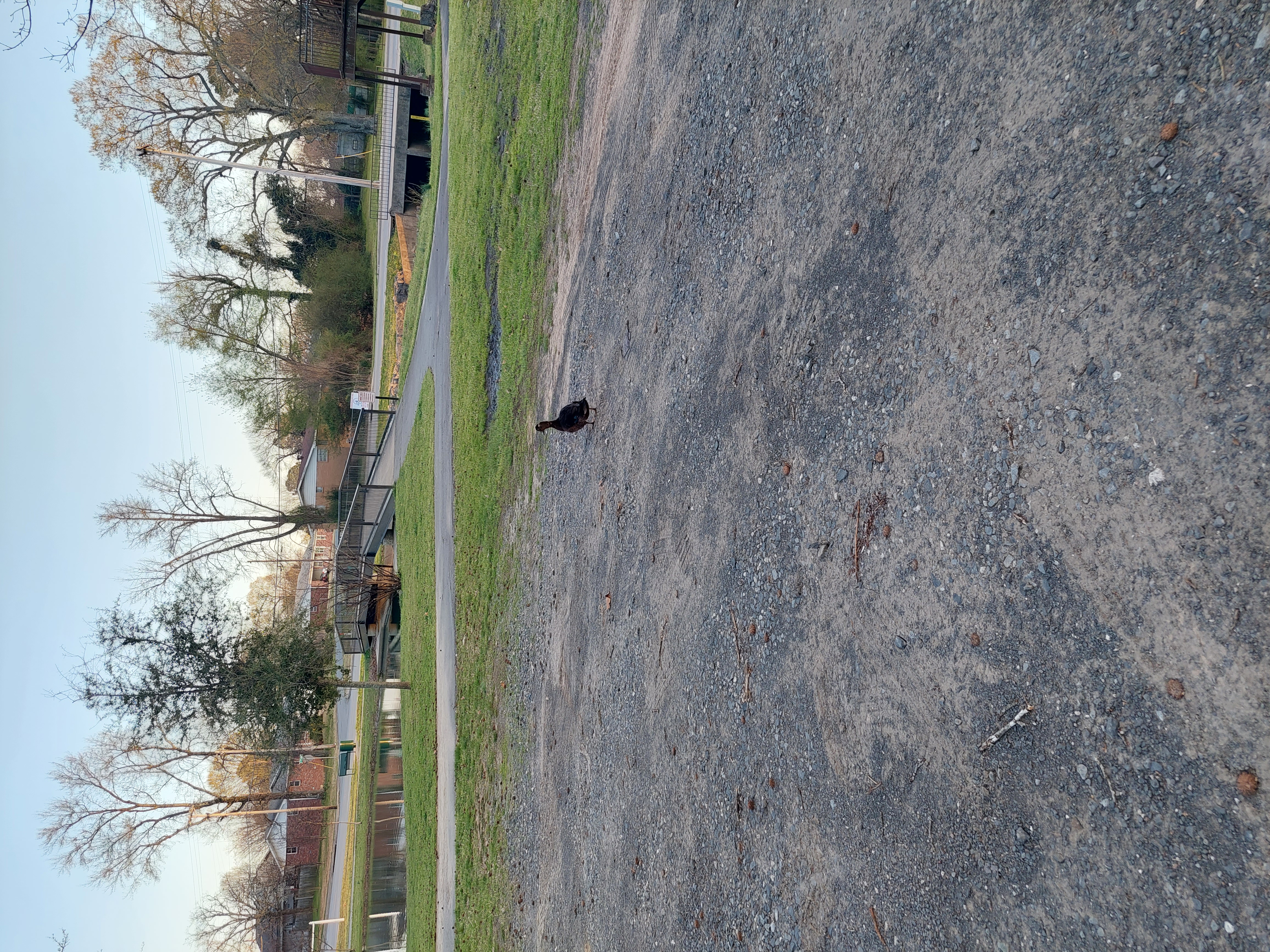 Belles and Whistles Bookstore