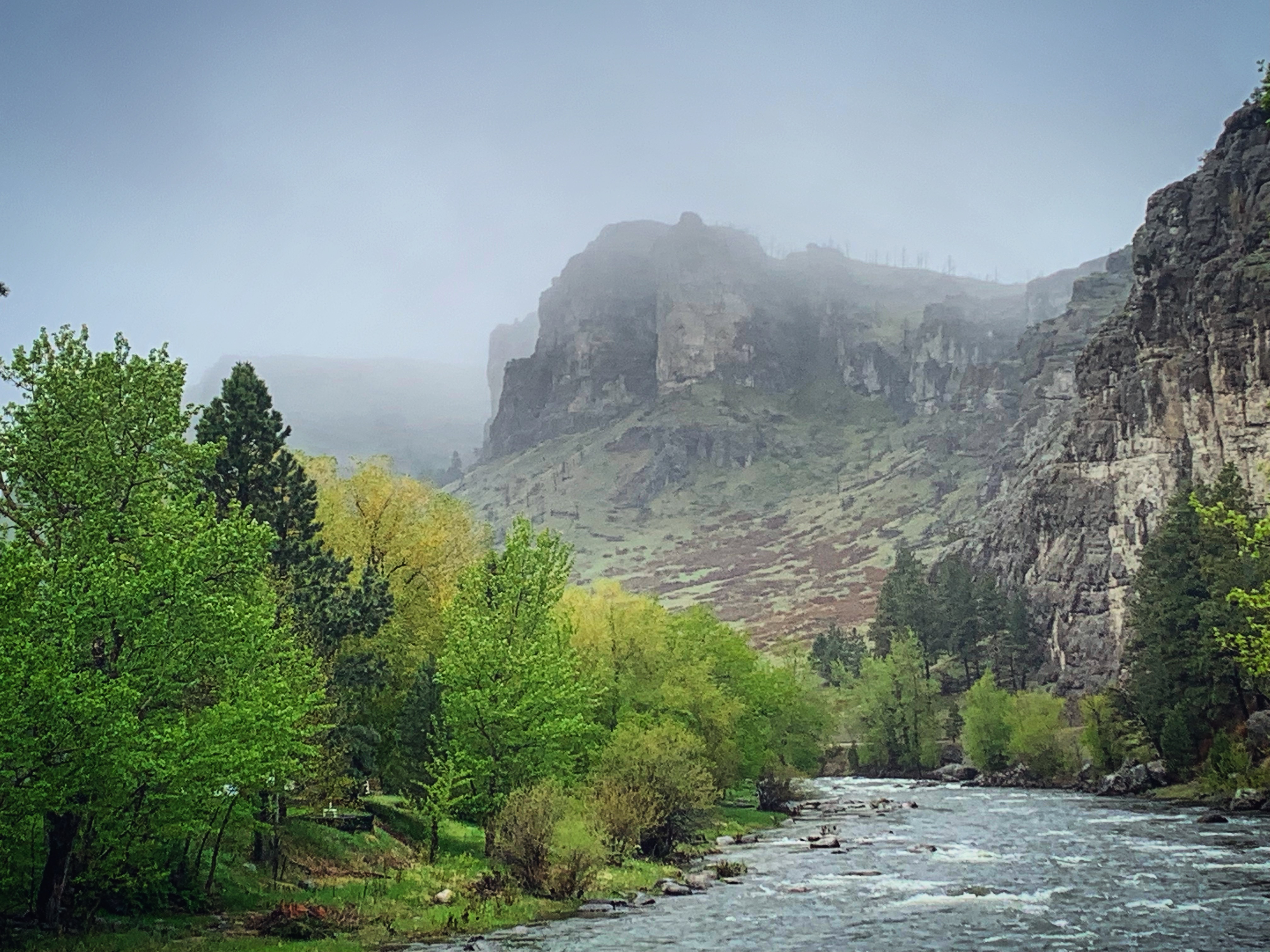 Wolfe Mountain Books