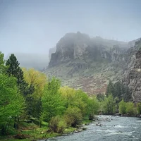 Wolfe Mountain Books