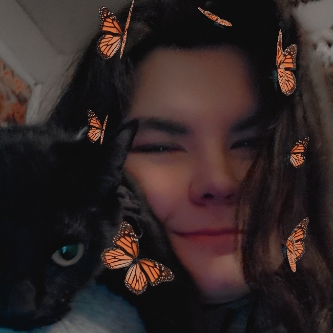 Bookstuff's bookshop