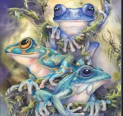 Eclectic Frog