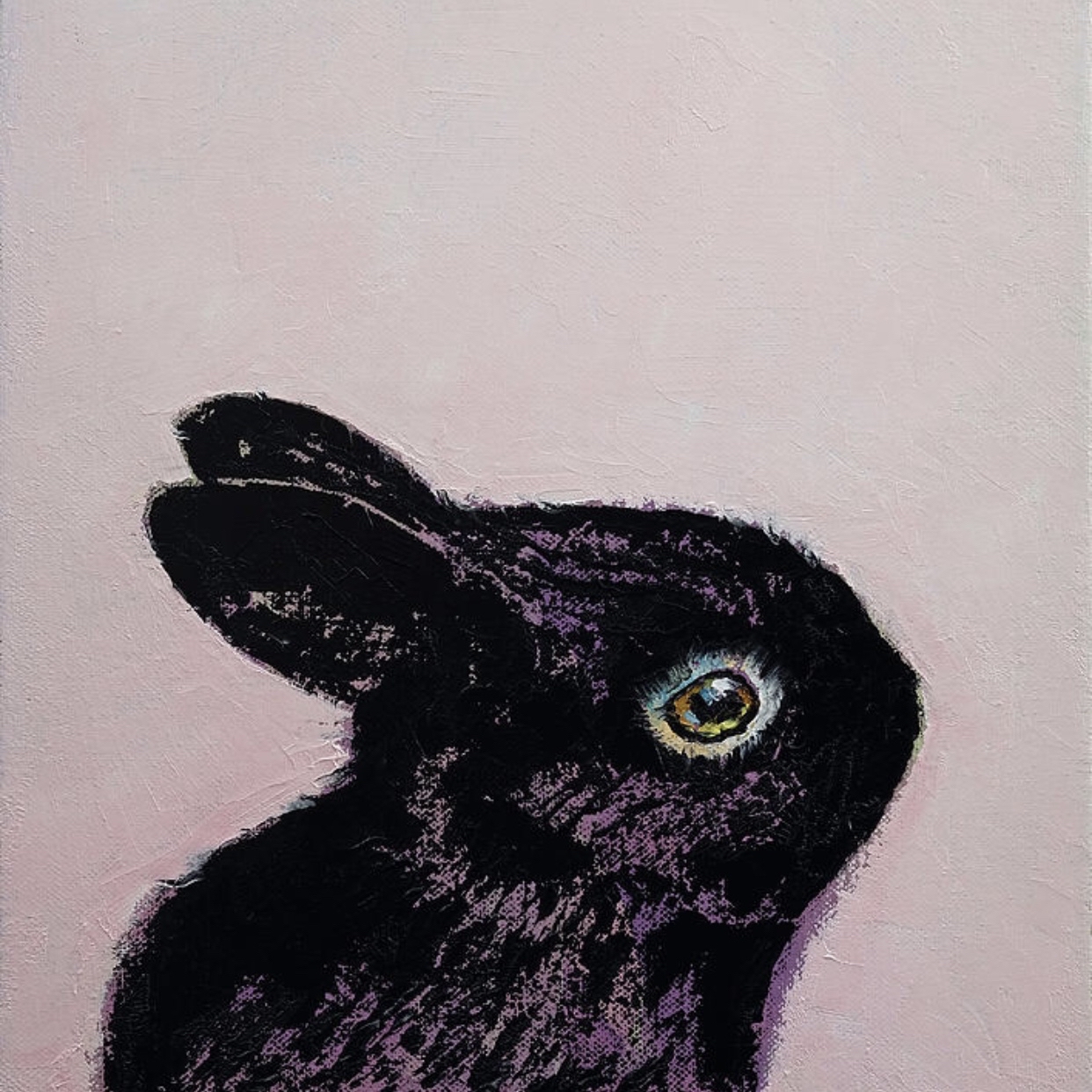 Le Petit Lapin Books