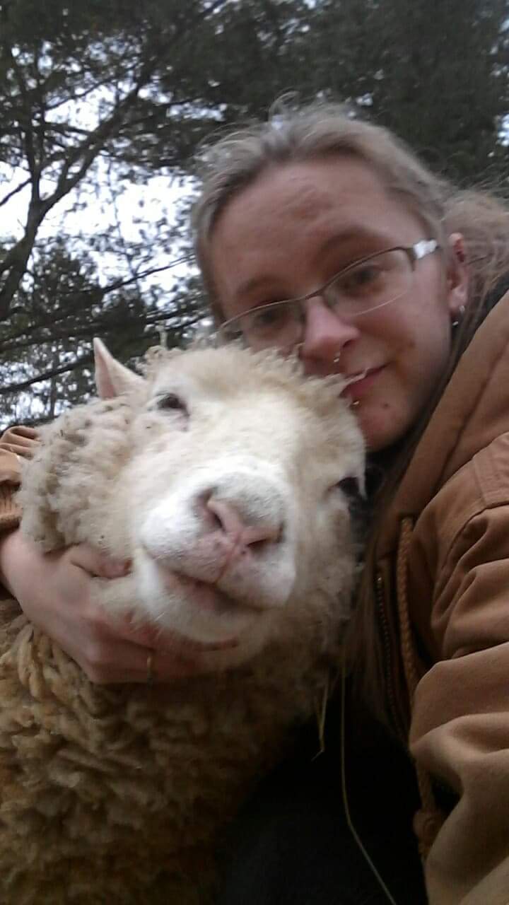 Rude Goose Farmstead