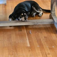 Luke and Leia's Book Nook