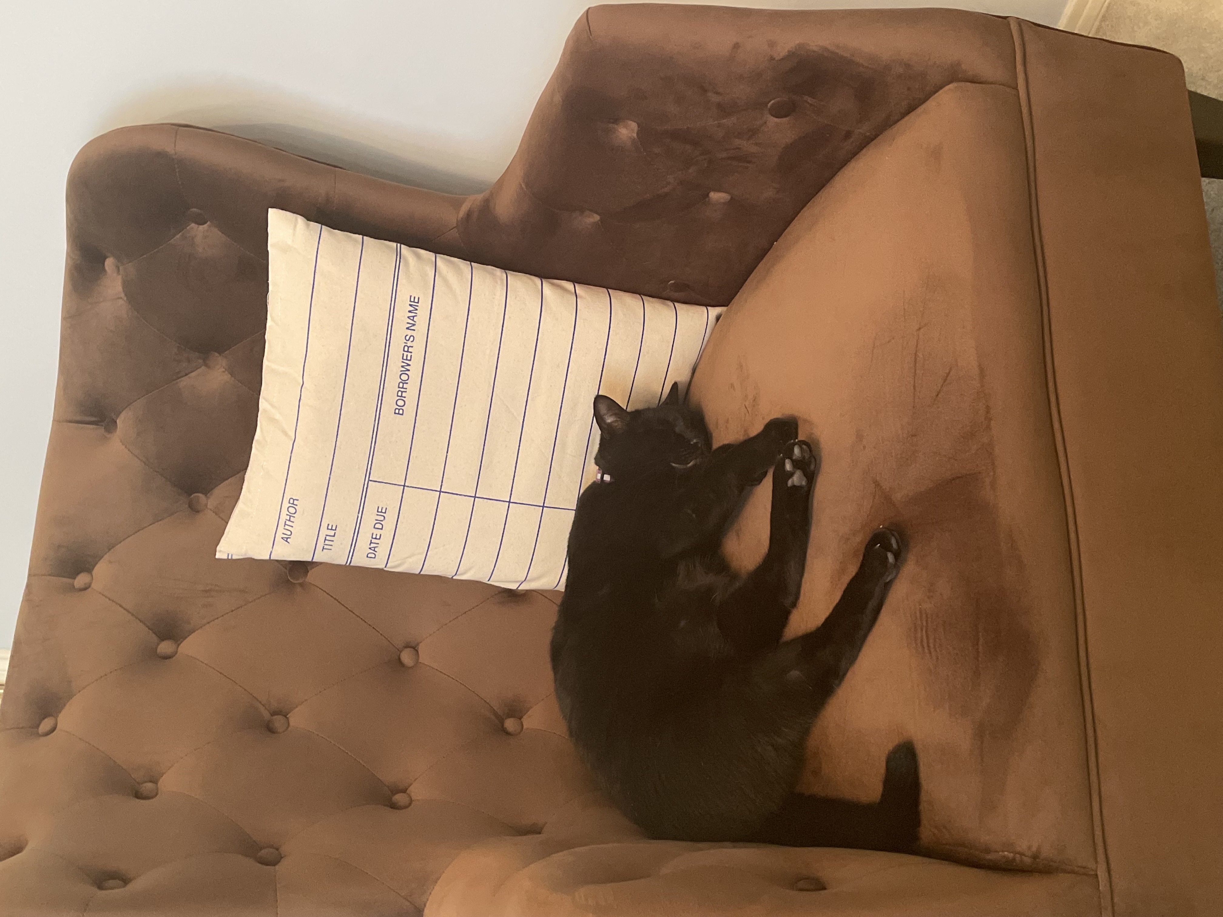 estefena’s bookshelf