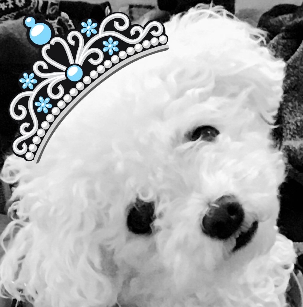 Little Bear Book Club