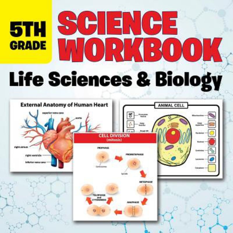 5th Grade Science Workbook