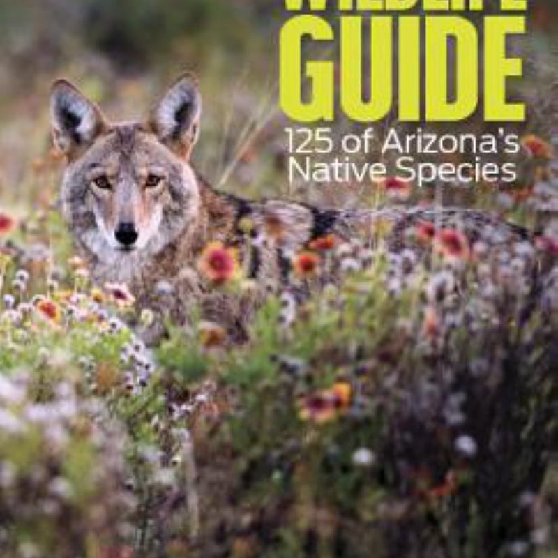 Arizona Highways Wildlife Guide