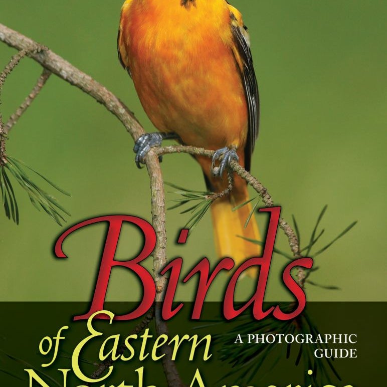 Birds of Eastern North America