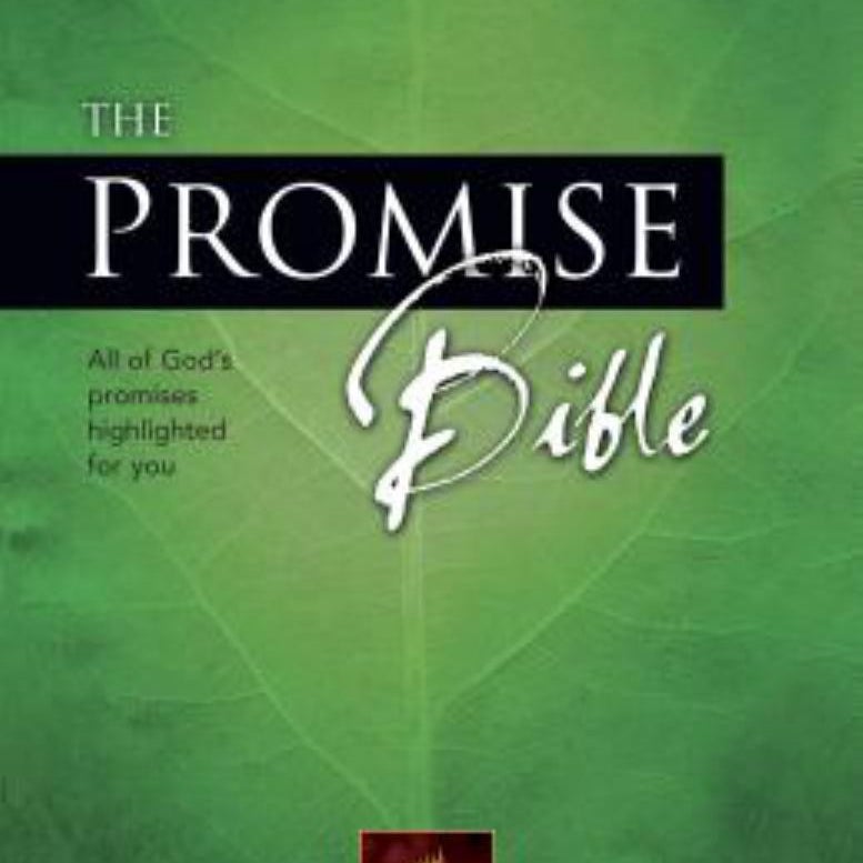 The Promise Bible