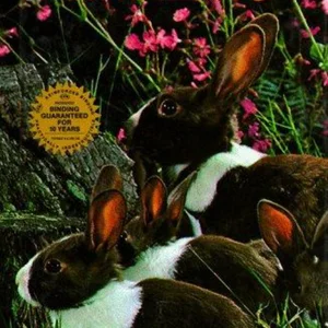 Encyclopedia of Pet Rabbits