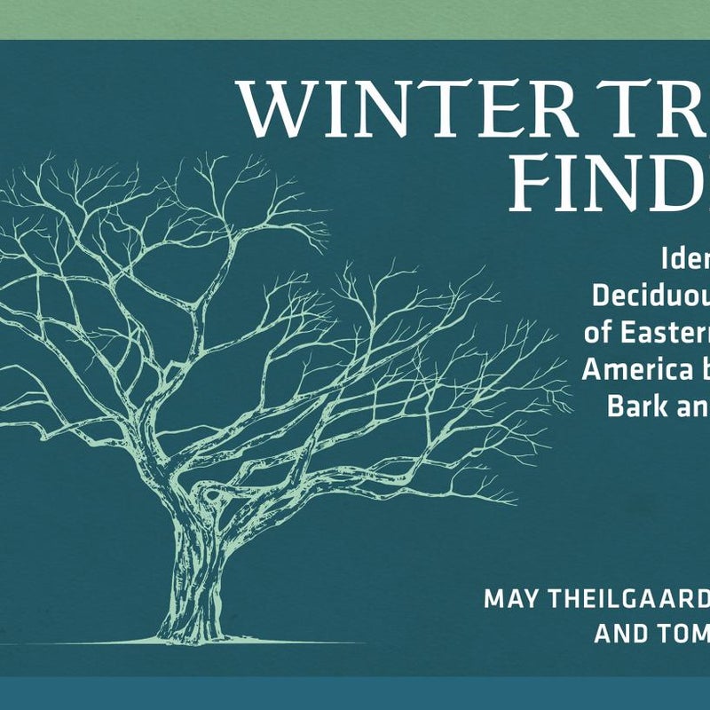 Winter Tree Finder