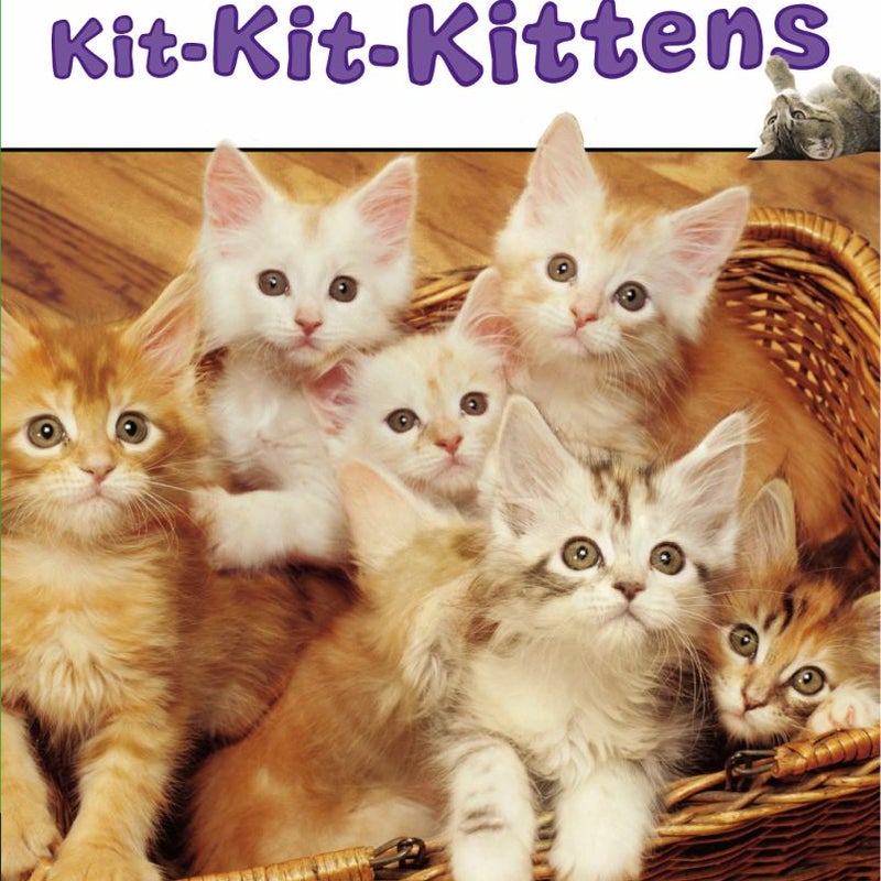 Kit-Kit-Kittens