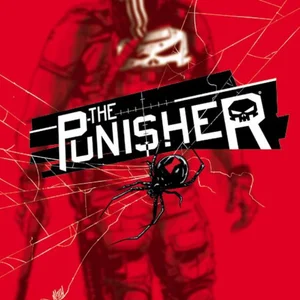 The Punisher Volume 2