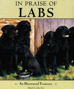 In Praise of Labs