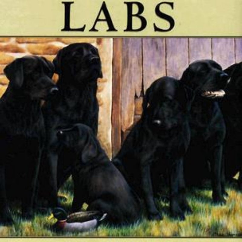 In Praise of Labs