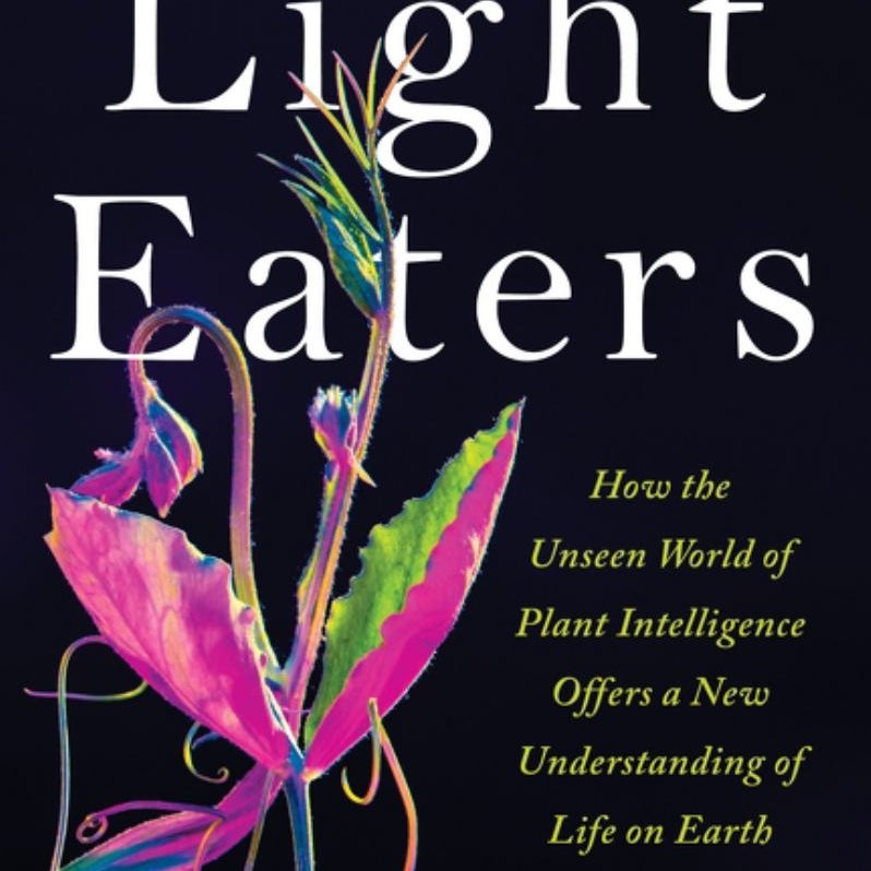 The Light Eaters